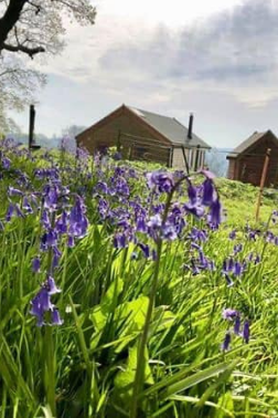 log cabin in a calm setting